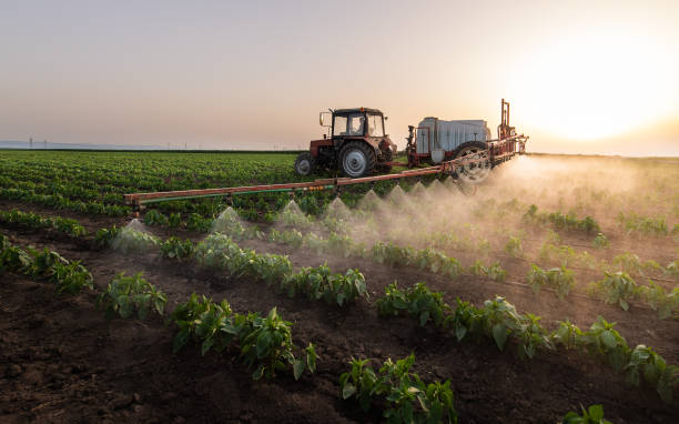 Best Commercial Pest Control Services  in Passapatanzy, VA