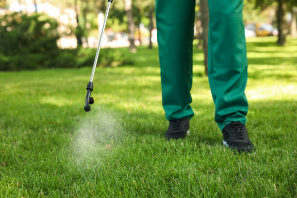 Trusted Passapatanzy, VA Pest Control Experts