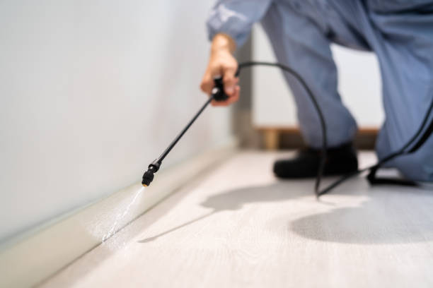 Best Best Pest Control Companies  in Passapatanzy, VA