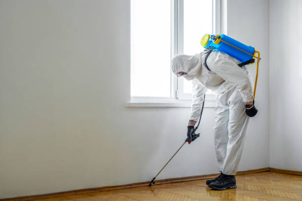 Best Bed Bug Extermination  in Passapatanzy, VA