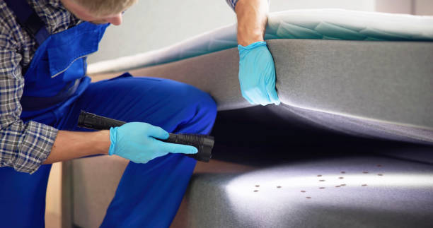 Best Wasp Removal Services  in Passapatanzy, VA