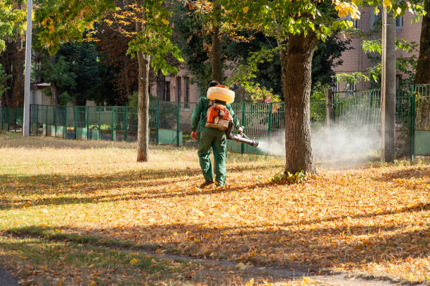 Best Local Pest Control Services  in Passapatanzy, VA