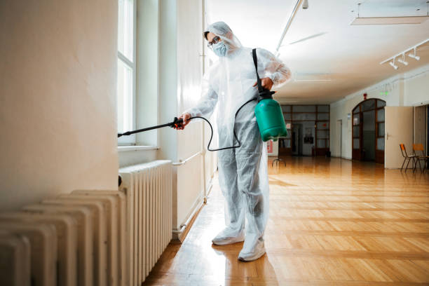 Best Mosquito Control Services  in Passapatanzy, VA