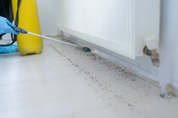 Best Affordable Pest Control Services  in Passapatanzy, VA