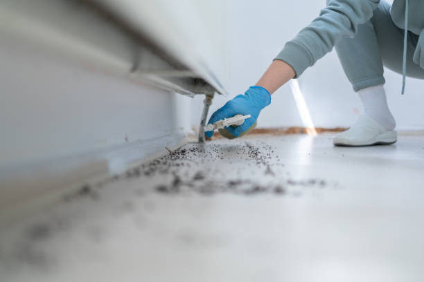 Wildlife Control Services in Passapatanzy, VA