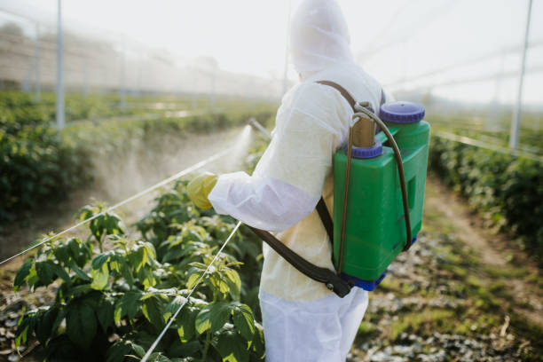 Best Residential Pest Control  in Passapatanzy, VA
